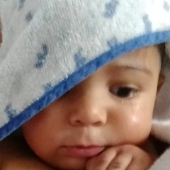 bb ja mais eu vol te abandonara