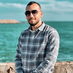 Mohamed F Hashad