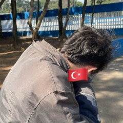 MONTAGEM DA PUTARIA TRIDIMENSIONAL ((DJ TURQUIA🇹🇷))