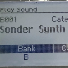 sondersir