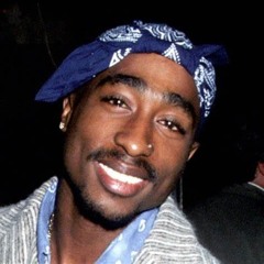 Hawk Stewart