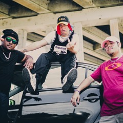 Shades of Palo Official