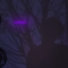 sam2go
