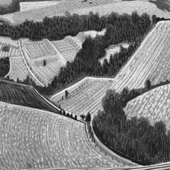 Black Mountain College