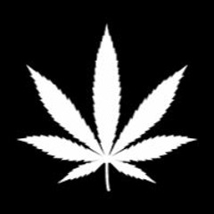 Ay!Loud-Free