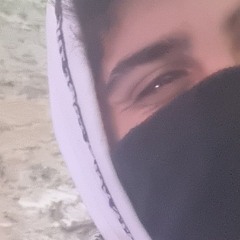 אבי לויס/ gamba