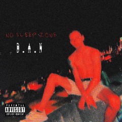 D.A.N