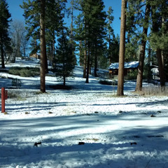 throwbackto flash back