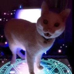 𑱰₰㕘𝔍㕛㕰⚸𑱹