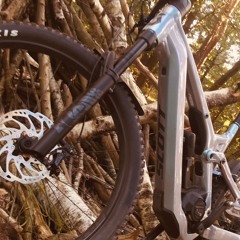 frankie the e.mtb´ler