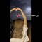-چـَنـى مـَحـمـدْ||غـَيـبـوبـهْ💕]-