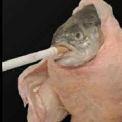 Le Creeper KiFaitPeur