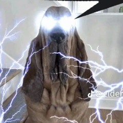 sigmaskibidi🥄🐴🙏