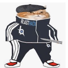 $ta& 243