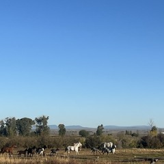 i only believe in science