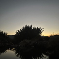Mosaloeisa