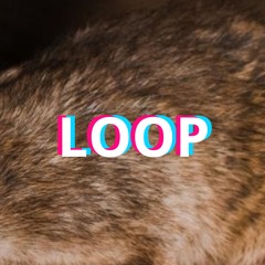 LOOP !