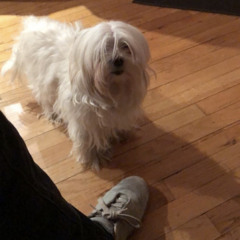 Lucy