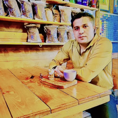 yazdan ansari