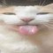 dxvid