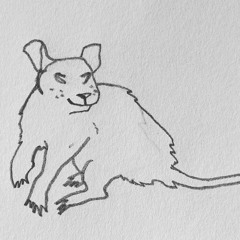 bearspit