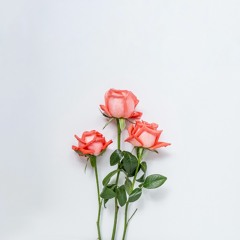 Lala_Sarmad