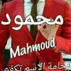 Mahmoud Amr