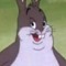 vigillxD1