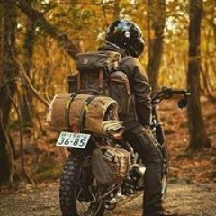 فارس الشرقاوي