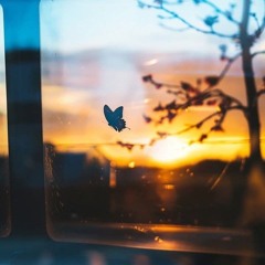 boy-nhà-nghèo🚀🚀🚀