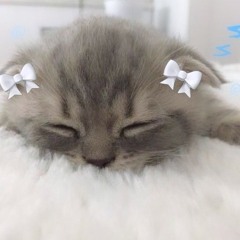 мяу
