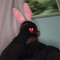 Theusx 027