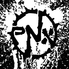 PNX_GONZCAM
