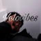 Velovibes