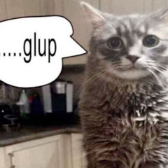kappi