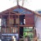 Tree House PB