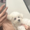 쥬님🐰🤍