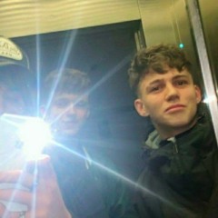 josh fein