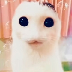 B.K