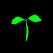nocturnalplant