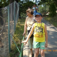 (Canalul al familiei florea) OFFICIAL