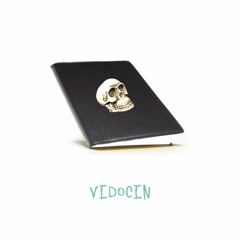 VIDOCIN