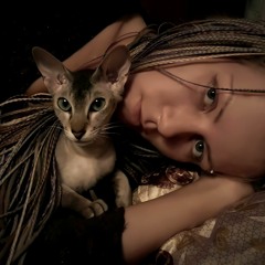 Maa