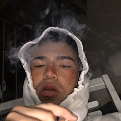 Gustavo Vaini