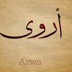 Arwaa Parise