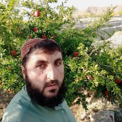 wali khan