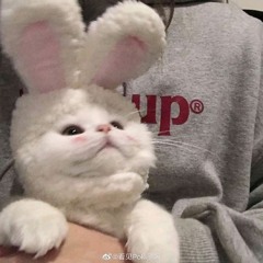 .....