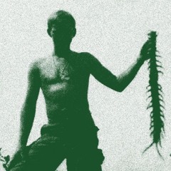 kostya