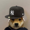 Brady