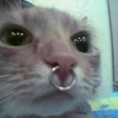 ++ZawMB*N3K0++